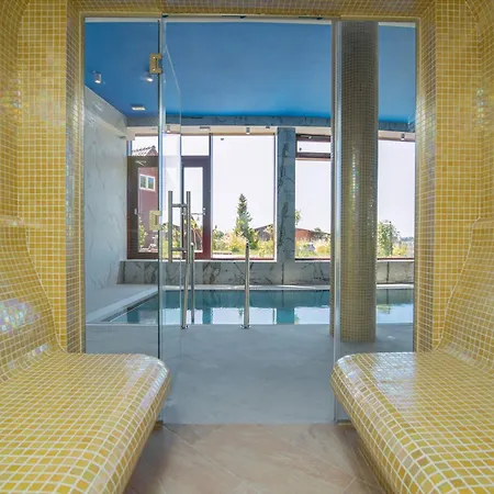 Hotel Grand Maxim Wellness & *