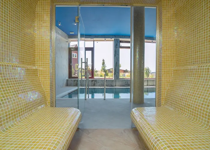 Hotel Grand Maxim Wellness & *